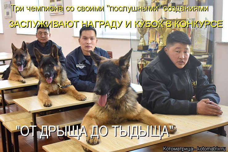 Котоматрица: Три чемпиона со своими "послушными" созданиями ЗАСЛУЖИВАЮТ НАГРАДУ И КУБОК В КОНКУРСЕ "ОТ ДРЫЩА ДО ТЫДЫЩА"