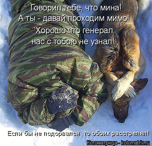 Говорил тебе, что мина! А ты - давай проходим мимо! Хорошо что генерал, нас с тобою не узнал! Если бы... Котоматрица: Говорил тебе, что мина! А ты - давай проходим мимо! Хорошо что генерал, нас с тобою не узнал! Если бы не подорвался то обоих расстрелял!