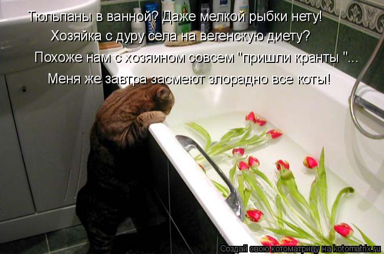 Похоже нам с хозяином совсем "пришли кранты "... Хозяйка с дуру села на вегенскую диету? Тюльпаны в в... Котоматрица: Похоже нам с хозяином совсем "пришли кранты "... Хозяйка с дуру села на вегенскую диету? Тюльпаны в ванной? Даже мелкой рыбки нету! Меня же зав?