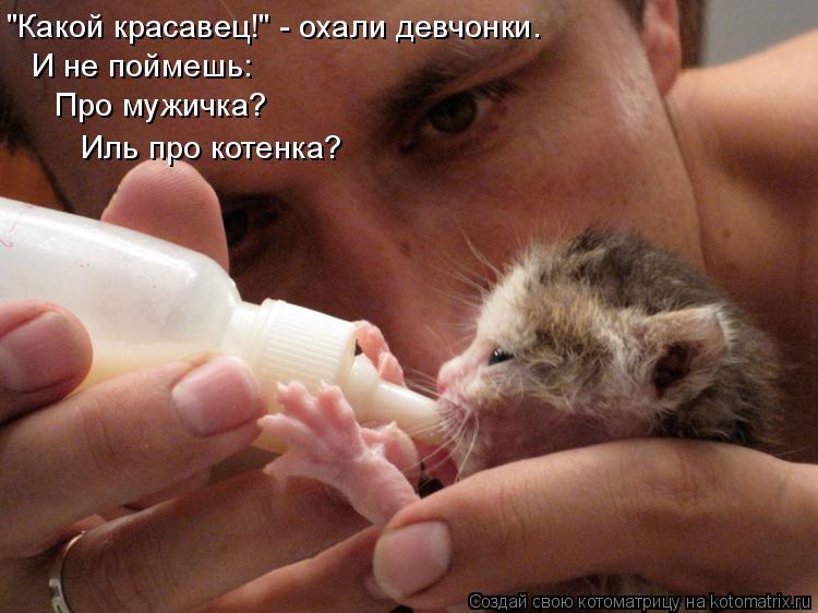 "Какой красавец!" - охали девчонки. И не поймешь: Про мужичка? Иль про котенка?... Котоматрица: "Какой красавец!" - охали девчонки. И не поймешь: Про мужичка? Иль про котенка?