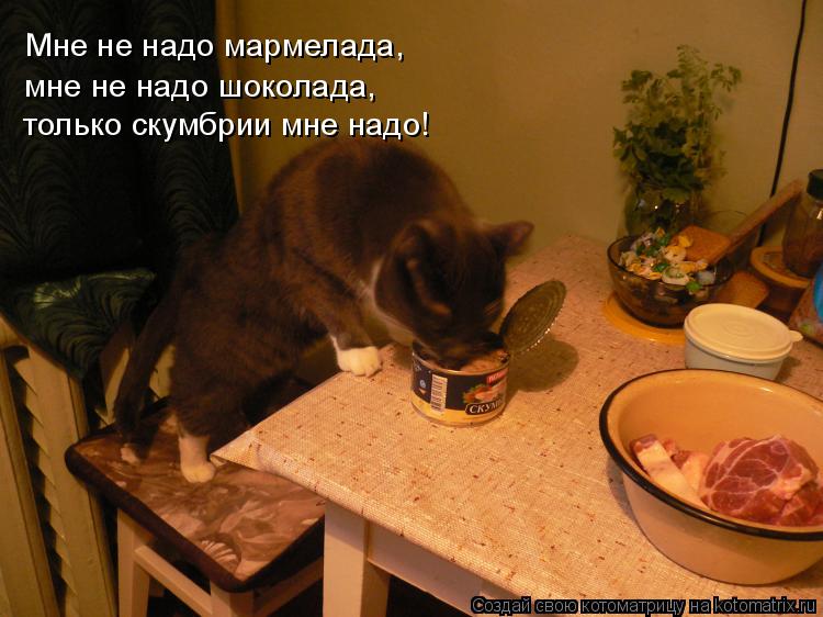 Мне не надо мармелада, мне не надо шоколада, только скумбрии мне надо!... Котоматрица: Мне не надо мармелада, мне не надо шоколада, только скумбрии мне надо!