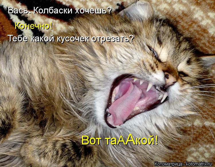 Вась. Колбаски хочешь? Конечно! Тебе какой кусочек отрезать? Вот таА кой! А... Котоматрица: Вась. Колбаски хочешь? Конечно! Тебе какой кусочек отрезать? Вот таА кой! А