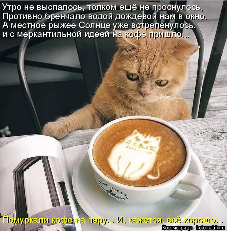 Помуркали кофе на пару... И, кажется, всё хорошо... Утро не выспалось, толком ещё не проснулось, Прот... Котоматрица: Помуркали кофе на пару... И, кажется, всё хорошо... Утро не выспалось, толком ещё не проснулось, Противно бренчало водой дождевой нам в окно. А ?