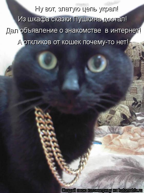 Ну вот, златую цепь украл! Из шкафа сказки Пушкина достал! Дал объявление о знакомстве в интернет! А... Котоматрица: Ну вот, златую цепь украл! Из шкафа сказки Пушкина достал! Дал объявление о знакомстве в интернет! А откликов от кошек почему-то нет!