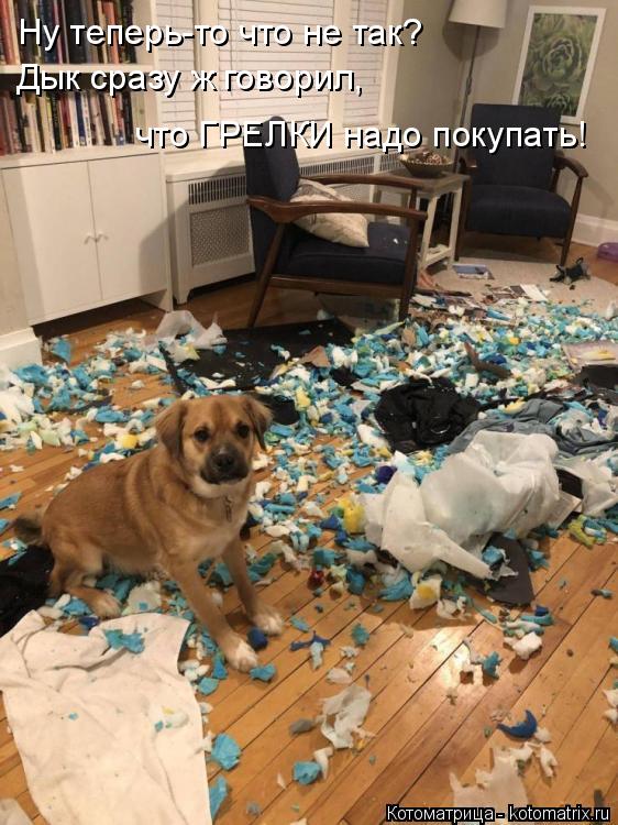 Котоматрица: Ну теперь-то что не так? Дык сразу ж говорил,  что ГРЕЛКИ надо покупать!