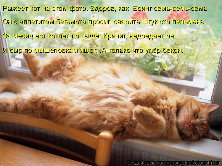 Он с аппетитом бегемота просил сварить штук сто пельмень. За месяц ест котлет по тыще. Кричит, недоед... Котоматрица: Он с аппетитом бегемота просил сварить штук сто пельмень. За месяц ест котлет по тыще. Кричит, недоедает он. И сыр по мышеловкам ищет...А толь?