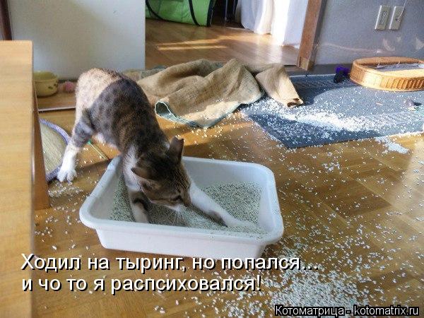 Ходил на тыринг, но попался... и чо то я распсиховался!... Котоматрица: Ходил на тыринг, но попался... и чо то я распсиховался!