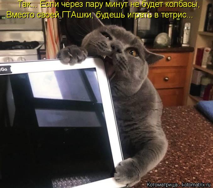 Котоматрица: Вместо своей ГТАшки, будешь играть в тетрис... Так... Если через пару минут не будет колбасы,