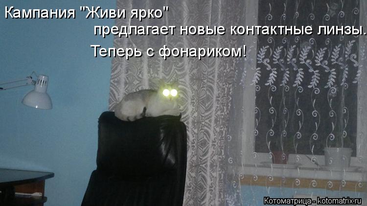 предлагает новые контактные линзы. Кампания "Живи ярко" Теперь с фонариком!... Котоматрица: предлагает новые контактные линзы. Кампания "Живи ярко" Теперь с фонариком!