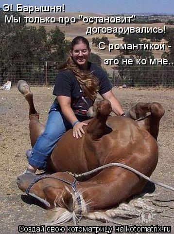 Э! Барышня! Мы только про "остановит" договаривались! С романтикой - это не ко мне...... Котоматрица: Э! Барышня! Мы только про "остановит" договаривались! С романтикой - это не ко мне...