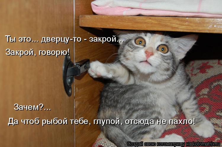 Закрой, говорю! Да чтоб рыбой тебе, глупой, отсюда не пахло! Зачем?... Ты это... дверцу-то - закрой.... Котоматрица: Закрой, говорю! Да чтоб рыбой тебе, глупой, отсюда не пахло! Зачем?... Ты это... дверцу-то - закрой...