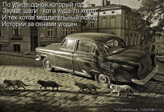 Котоматрица: По улице одной который год Звучат шаги - коты куда-то ходят. И тех котов медлительный поход Истории за окнами угоден.