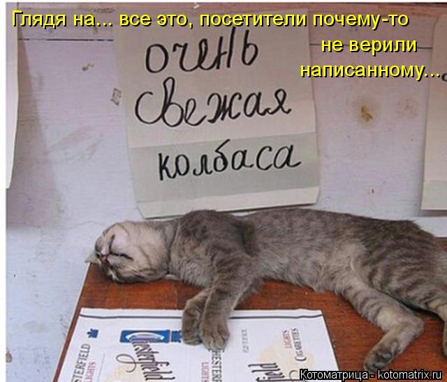 Котоматрица: Глядя на... все это, посетители почему-то не верили  написанному...