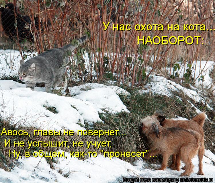 У нас охота на кота... НАОБОРОТ: Авось, главы не повернет... И не услышит, не учует, Ну, в общем, к... Котоматрица: У нас охота на кота... НАОБОРОТ: Авось, главы не повернет... И не услышит, не учует, Ну, в общем, как-то "пронесет"...