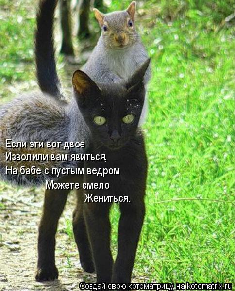 Котоматрица: Изволили вам явиться, Если эти вот двое На бабе с пустым ведром Можете смело  Жениться.