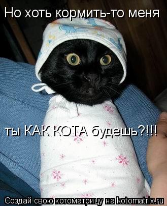 Котоматрица: Но хоть кормить-то меня ты КАК КОТА будешь?!!!
