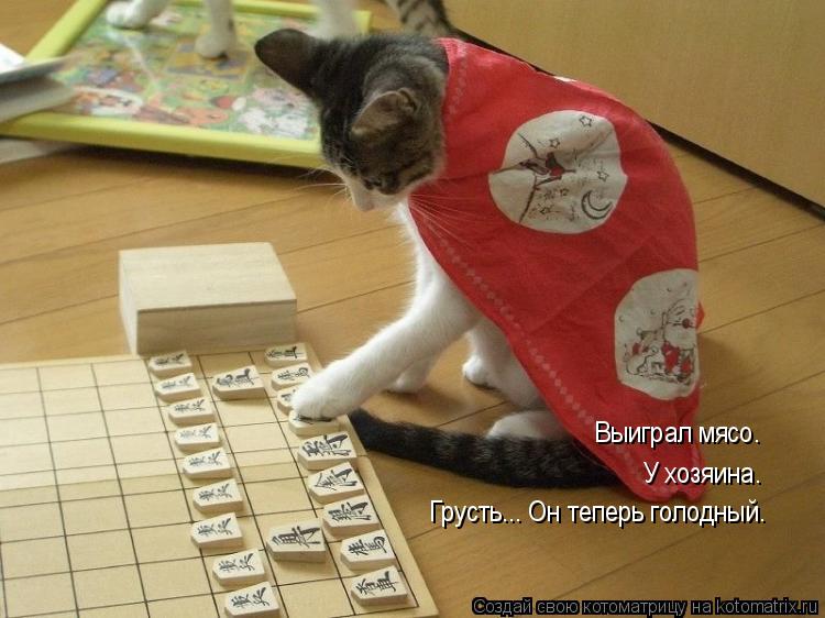 Котоматрица: Выиграл мясо. У хозяина. Грусть... Он теперь голодный.