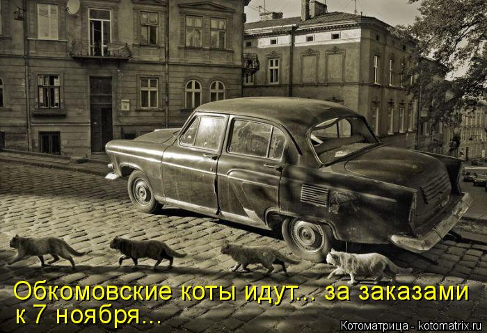 Котоматрица: Обкомовские коты идут... за заказами к 7 ноября...