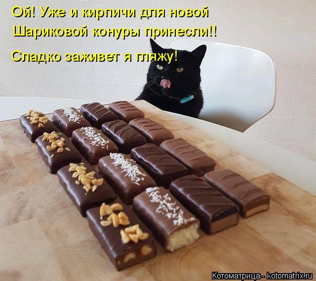 Котоматрица: Ой! Уже и кирпичи для новой  Шариковой конуры принесли!! Сладко заживет я гляжу!