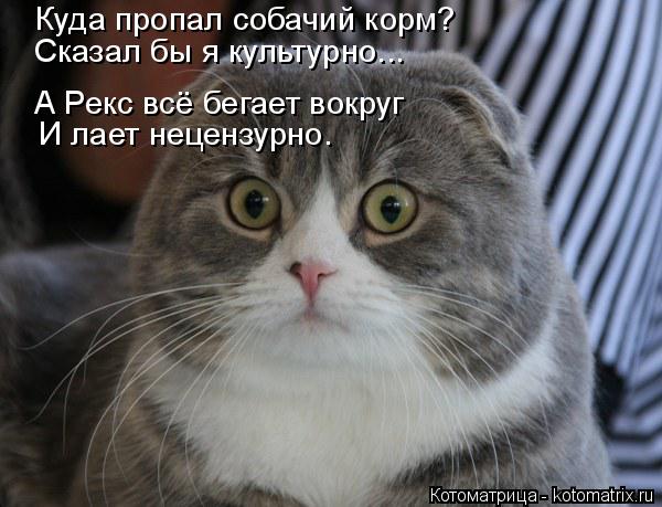 Куда пропал собачий корм? Сказал бы я культурно... А Рекс всё бегает вокруг И лает нецензурно.... Котоматрица: Куда пропал собачий корм? Сказал бы я культурно... А Рекс всё бегает вокруг И лает нецензурно.