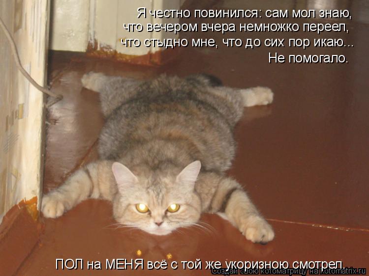 Котоматрица: Я честно повинился: сам мол знаю, что вечером вчера немножко переел, что стыдно мне, что до сих пор икаю... Не помогало.  ПОЛ на МЕНЯ всё с той ж?