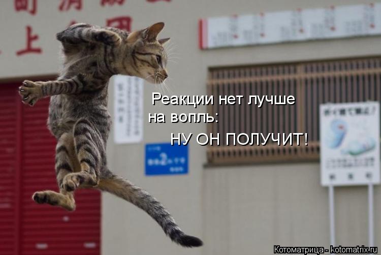 Реакции нет лучше на вопль: НУ ОН ПОЛУЧИТ!... Котоматрица: Реакции нет лучше на вопль: НУ ОН ПОЛУЧИТ!