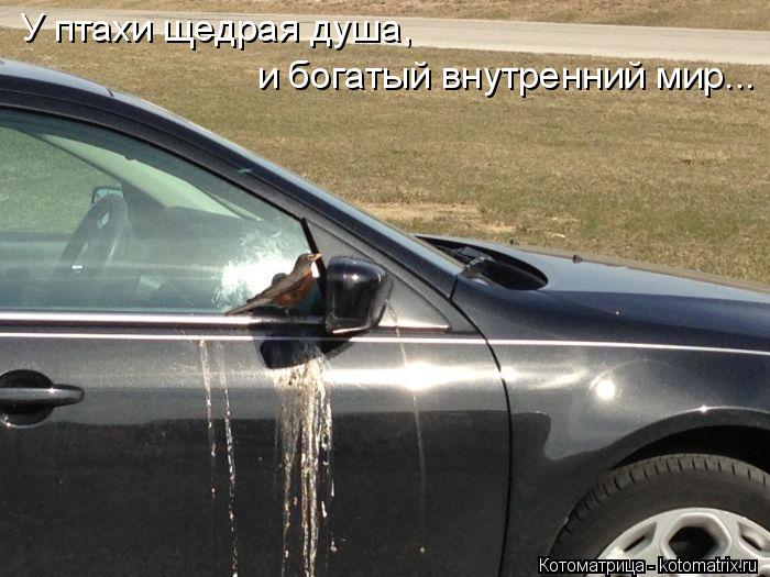 У птахи щедрая душа, и богатый внутренний мир...... Котоматрица: У птахи щедрая душа, и богатый внутренний мир...