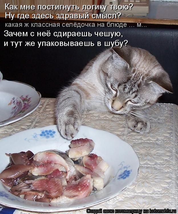 Как мне постигнуть логику твою? Ну где здесь здравый смысл? какая ж классная селёдочка на блюде ... м... Котоматрица: Как мне постигнуть логику твою? Ну где здесь здравый смысл? какая ж классная селёдочка на блюде ... м... Зачем с неё сдираешь чешую, и тут же упа