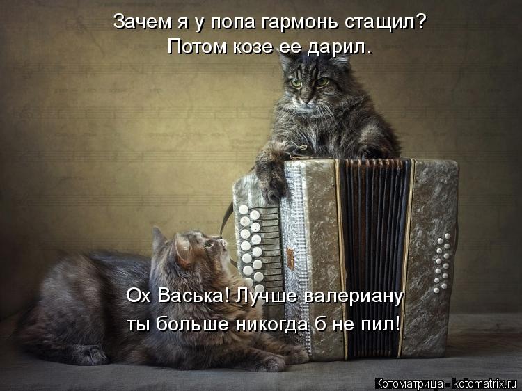 Зачем я у попа гармонь стащил? Потом козе ее дарил. Ох Васька! Лучше валериану ты больше никогда б не... Котоматрица: Зачем я у попа гармонь стащил? Потом козе ее дарил. Ох Васька! Лучше валериану ты больше никогда б не пил!