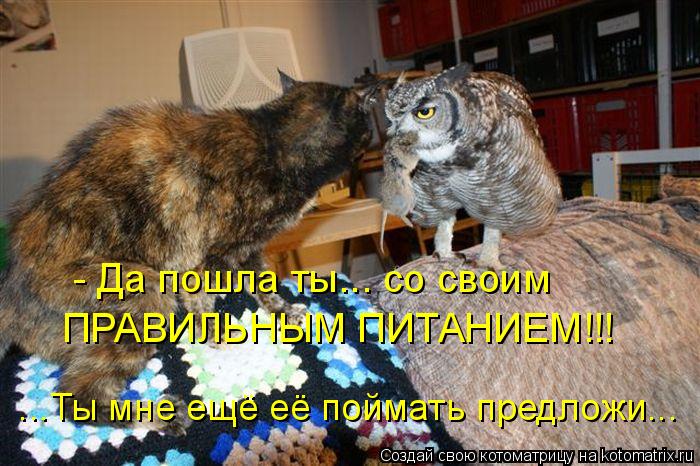 ...Ты мне ещё её поймать предложи... ПРАВИЛЬНЫМ ПИТАНИЕМ!!! - Да пошла ты... со своим... Котоматрица: ...Ты мне ещё её поймать предложи... ПРАВИЛЬНЫМ ПИТАНИЕМ!!! - Да пошла ты... со своим