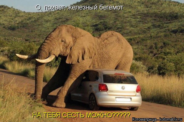 О, привет, железный бегемот НА ТЕБЯ СЕСТЬ МОЖНО?????... Котоматрица: О, привет, железный бегемот НА ТЕБЯ СЕСТЬ МОЖНО?????