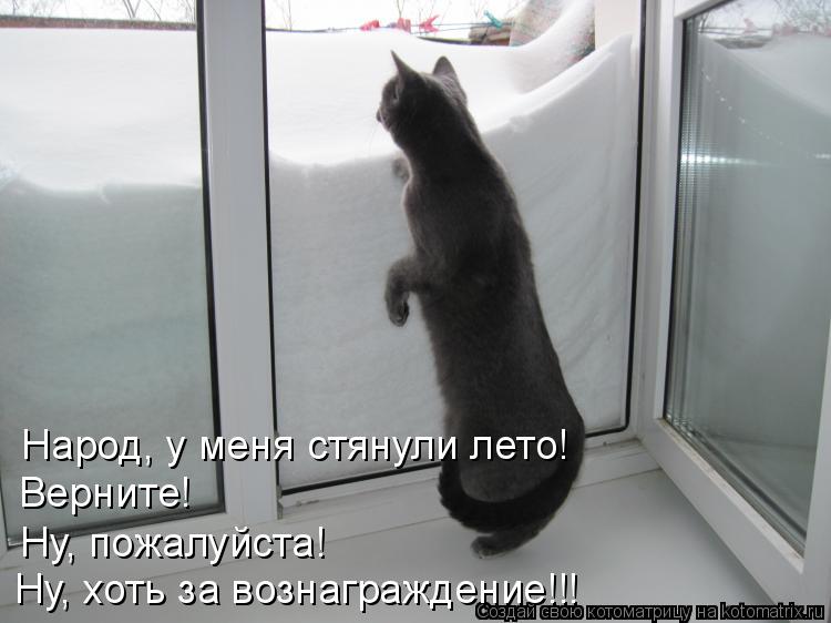 Котоматрица: Верните! Народ, у меня стянули лето! Ну, пожалуйста! Ну, хоть за вознаграждение!!!