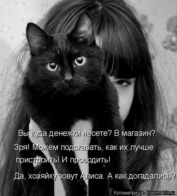 Котоматрица: Зря! Можем подсказать, как их лучше пристроить! И проводить! Да, хозяйку зовут Алиса. А как догадались? Вы куда денежки несете? В магазин?