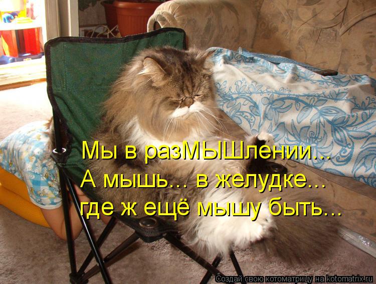 Мы в разМЫШлении... А мышь... в желудке... где ж ещё мышу быть...... Котоматрица: Мы в разМЫШлении... А мышь... в желудке... где ж ещё мышу быть...