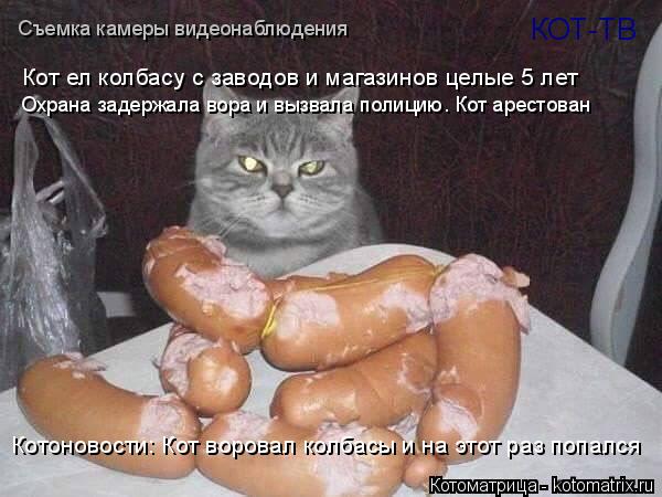 Котоматрица: КОТ-ТВ Котоновости: Кот воровал колбасы и на этот раз попался Кот ел колбасу с заводов и магазинов целые 5 лет Охрана задержала вора и вызвал