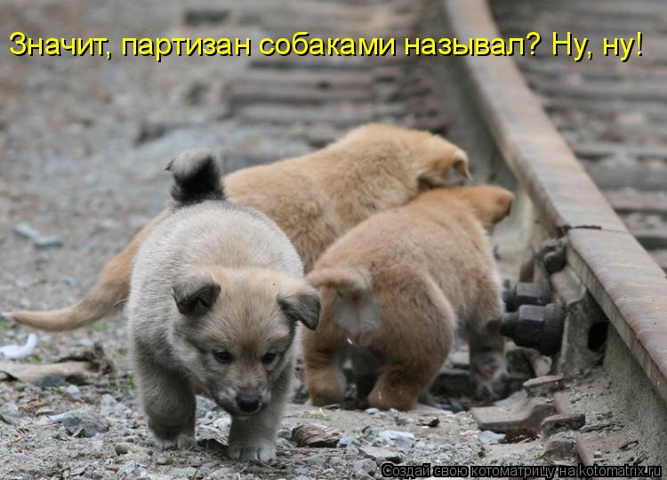 Котоматрица: Значит, партизан собаками называл? Ну, ну!