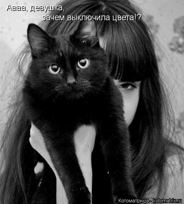 Аааа, девушка, зачем выключила цвета!?... Котоматрица: Аааа, девушка, зачем выключила цвета!?