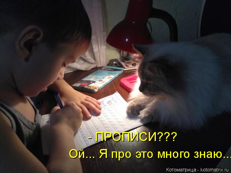 Котоматрица: - ПРОПИСИ??? Ой... Я про это много знаю...