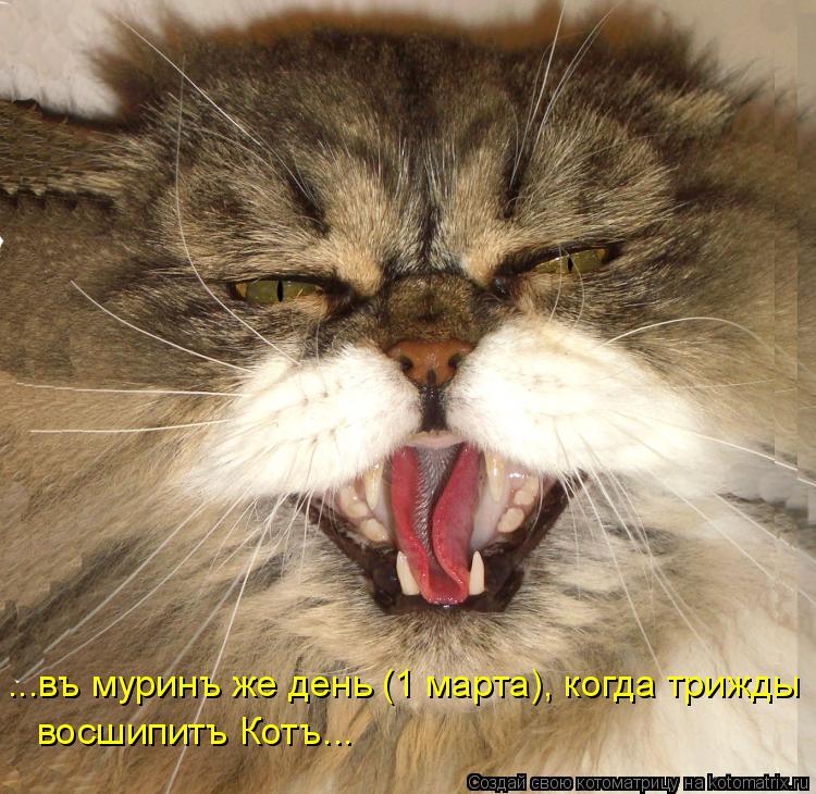 ...въ муринъ же день (1 марта), когда трижды восшипитъ Котъ...... Котоматрица: ...въ муринъ же день (1 марта), когда трижды восшипитъ Котъ...