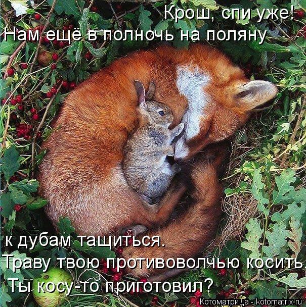 Крош, спи уже! Нам ещё в полночь на поляну Ты косу-то приготовил? Траву твою противоволчью косить...... Котоматрица: Крош, спи уже! Нам ещё в полночь на поляну Ты косу-то приготовил? Траву твою противоволчью косить... к дубам тащиться.