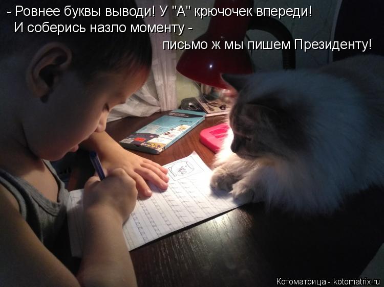 Котоматрица: - Ровнее буквы выводи! У "А" крючочек впереди! И соберись назло моменту -  письмо ж мы пишем Президенту!