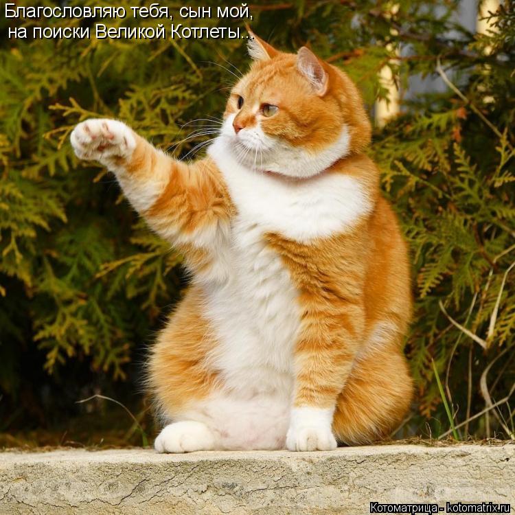 Благословляю тебя, сын мой, на поиски Великой Котлеты...... Котоматрица: Благословляю тебя, сын мой, на поиски Великой Котлеты...