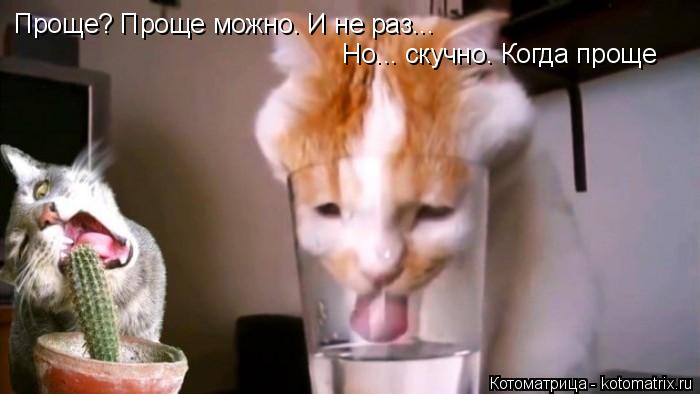 Котоматрица: Проще? Проще можно. И не раз... Но... скучно. Когда проще