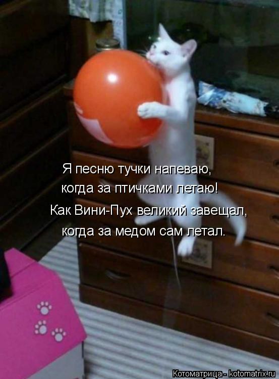 Как Вини-Пух великий завещал, когда за медом сам летал. когда за птичками летаю! Я песню тучки напева... Котоматрица: Как Вини-Пух великий завещал, когда за медом сам летал. когда за птичками летаю! Я песню тучки напеваю,