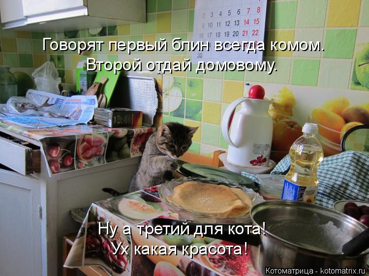 Котоматрица: Ну а третий для кота! Ух какая красота! Второй отдай домовому. Говорят первый блин всегда комом.