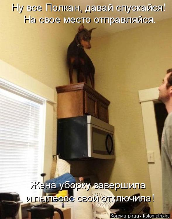 Жена уборку завершила и пылесос свой отключила! Ну все Полкан, давай спускайся! На свое место отправ... Котоматрица: Жена уборку завершила и пылесос свой отключила! Ну все Полкан, давай спускайся! На свое место отправляйся.