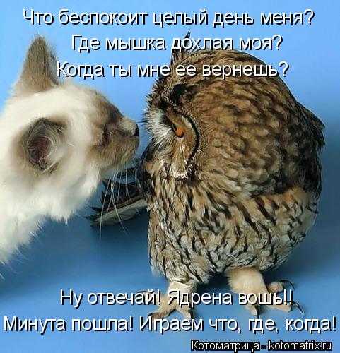Что беспокоит целый день меня? Где мышка дохлая моя? Когда ты мне ее вернешь? Ну отвечай! Ядрена вошь... Котоматрица: Что беспокоит целый день меня? Где мышка дохлая моя? Когда ты мне ее вернешь? Ну отвечай! Ядрена вошь!! Минута пошла! Играем что, где, когда!