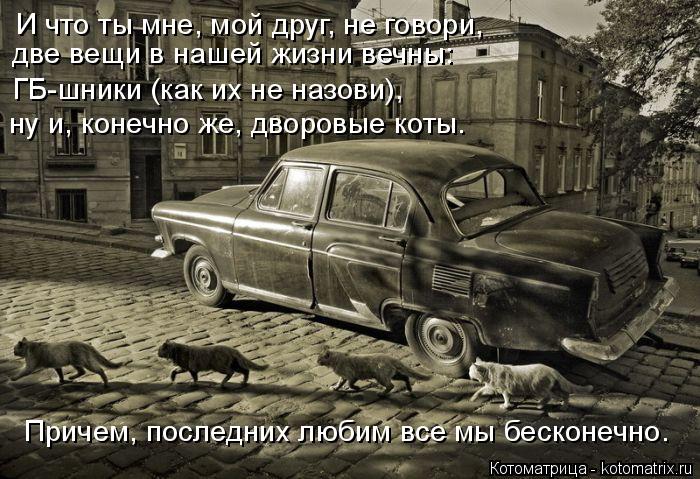 И что ты мне, мой друг, не говори, две вещи в нашей жизни вечны: ГБ-шники (как их не назови), ну и, к... Котоматрица: И что ты мне, мой друг, не говори, две вещи в нашей жизни вечны: ГБ-шники (как их не назови), ну и, конечно же, дворовые коты. Причем, последних лю