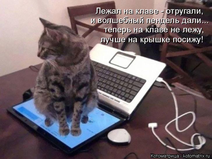 Лежал на клаве - отругали, и волшебный пендель дали... теперь на клаве не лежу, лучше на крышке поси... Котоматрица: Лежал на клаве - отругали, и волшебный пендель дали... теперь на клаве не лежу, лучше на крышке посижу!