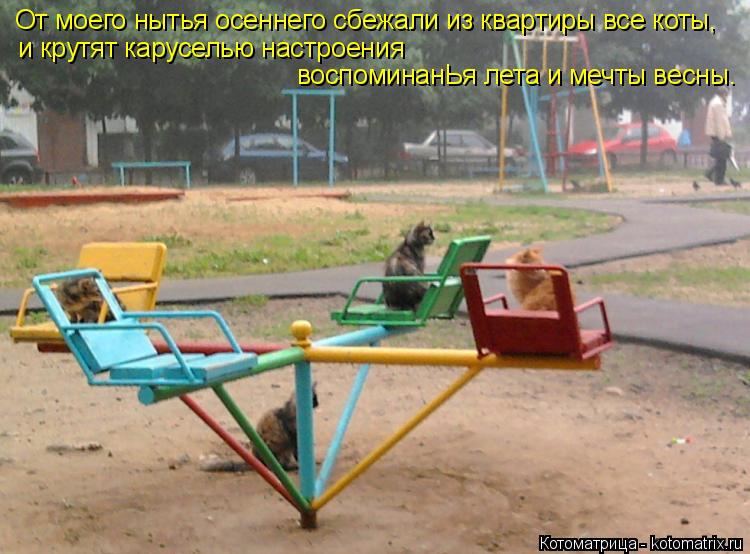 От моего нытья осеннего сбежали из квартиры все коты, и крутят каруселью настроения воспоминанЬя лет... Котоматрица: От моего нытья осеннего сбежали из квартиры все коты, и крутят каруселью настроения воспоминанЬя лета и мечты весны.